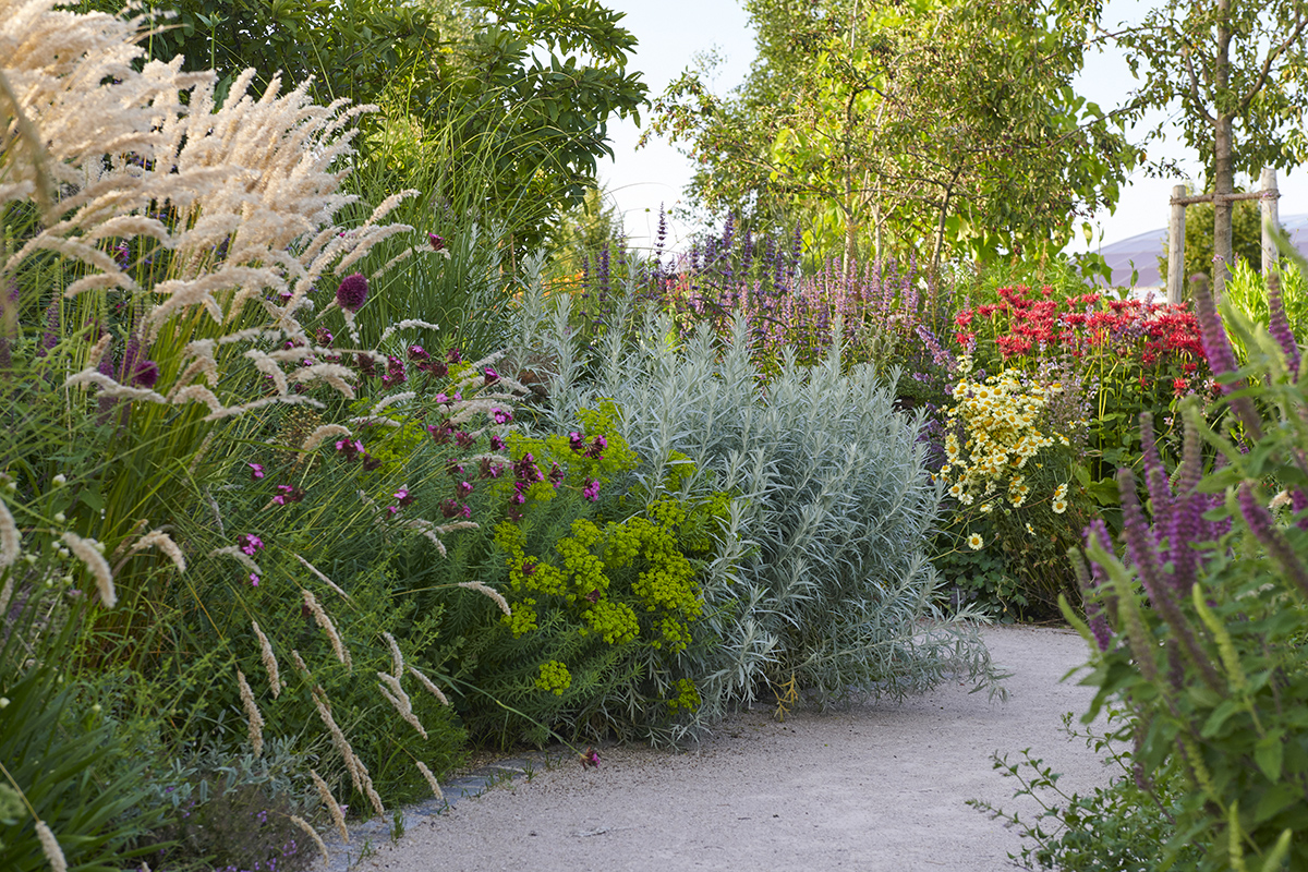 Gartenfotografie_029.jpg