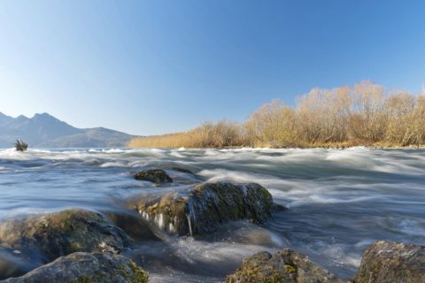 Landschaft | Photographie im Garten